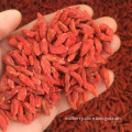 Wholesale Nutrition Healthy Low Pesticide Goji Berry